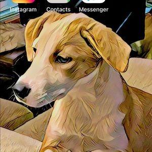 Meet your Posher, Sue